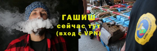 гашик Ладушкин