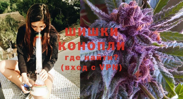 молекула духа Лагань