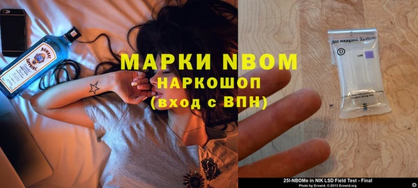 гашик Ладушкин