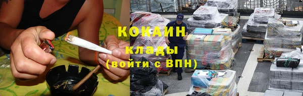 гашик Ладушкин