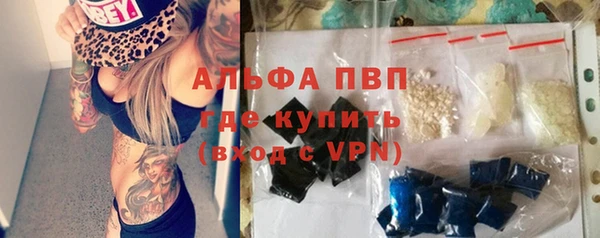 гашик Ладушкин