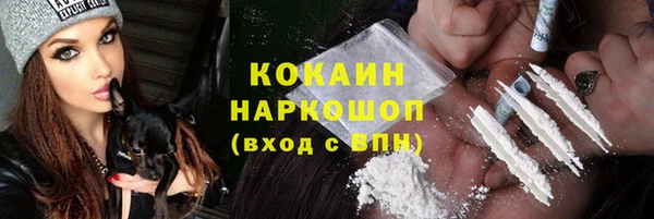гашик Ладушкин