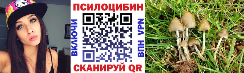 Псилоцибиновые грибы мухоморы  Купить где  Майкоп 